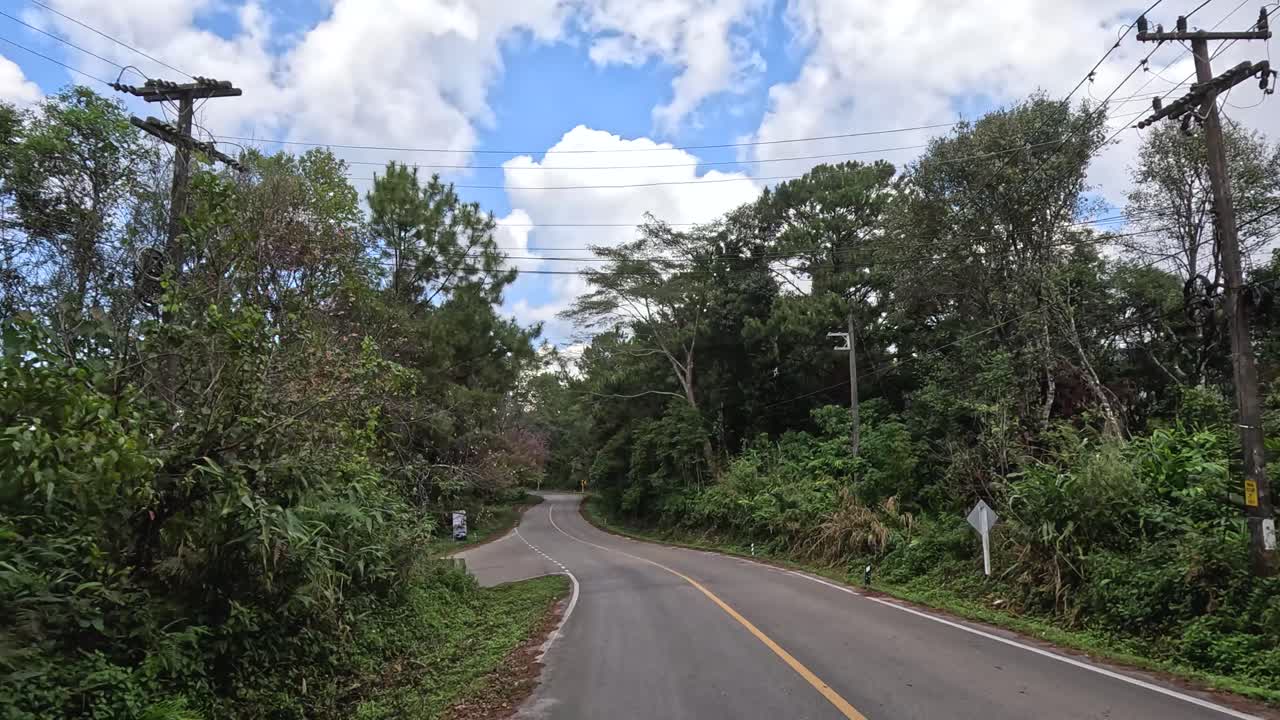 울창 한 초록색 을 가로질러 휘어지는 길 을 따라 여행