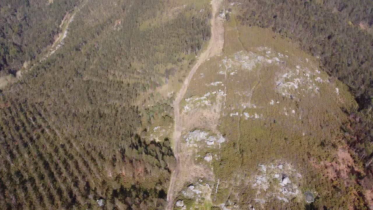 castro y plantaciones