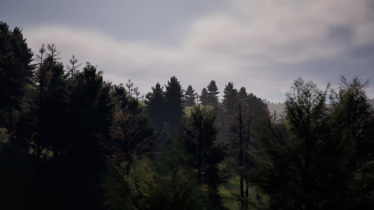 Pine forest and mountains at the background, day time, bright sun, 3D animation, animated scene, camera dolly right