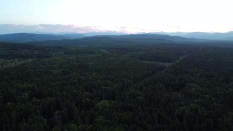 Flyover-the-endless-forest-just-before-sunset-in-summertime