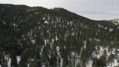 Pine-forest-on-the-Tehachapi,-California-mountains-in-winter-with-snow-on-the-ground-on-an-overcast-day---aerial-view