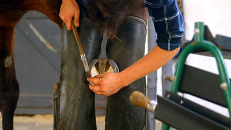 woman putting horseshoes in horse leg 4k