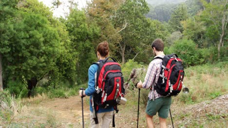 Pareja-Nordic-Walking