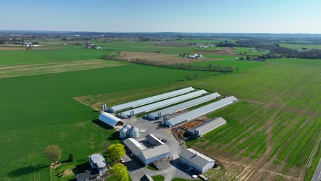 Vast-lush-green-farm-land-with-tie-stall-dairy-barns,-aerial-view