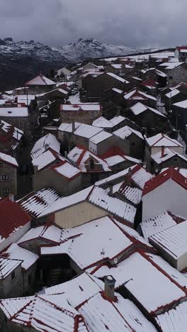 beautiful houses under the snow vertical video
