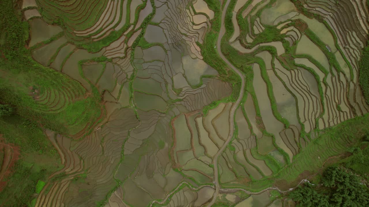 vista de pájaro de los campos de arroz en sa pa vietnam