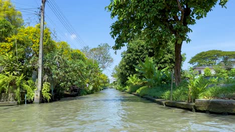 peaceful boat ride through lush canal scenery