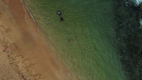 A-revealing-drone-shot-of-a-countyside-coastline-with-waves-crashing-against-the-shoreline-on-the-caribbean-island-of-Grenada-also-known-as-the-spice-island