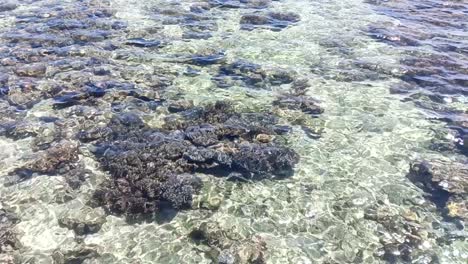 clear water of sea in karampuang island in mamuju, west sulawesi