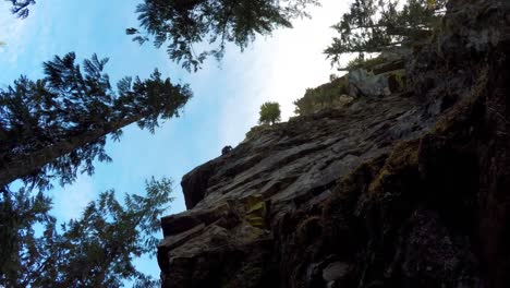 Rock-climber-climbing-a-cliff-in-the-forest-4k