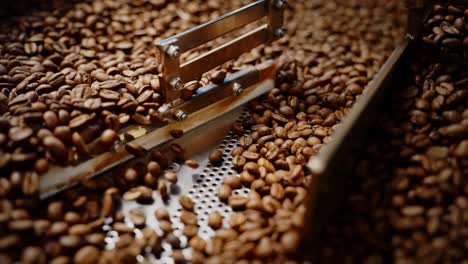 coffee bean processing