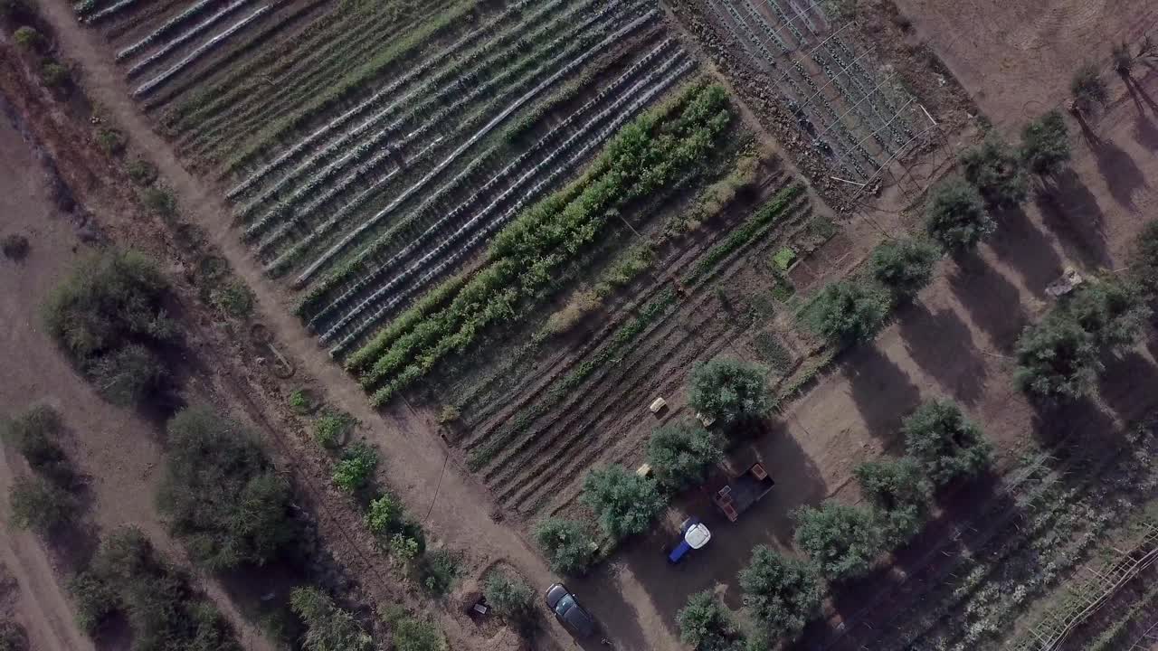 카메라는 상단 각도에서 땅을 보여줍니다