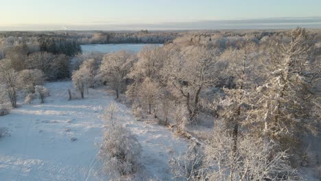 瑞典南部卡爾斯克羅納 (karlskrona) 的一個陽光明<unk>的日子,在美麗的雪地風景上空眺望,有很多樹木和松樹