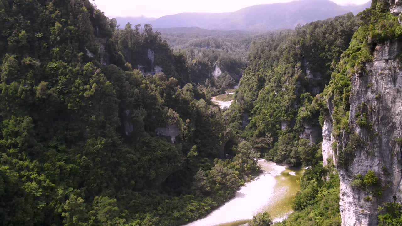 el río fox en nueva zelanda es un bosque nativo rodeado de espectaculares acantilados.