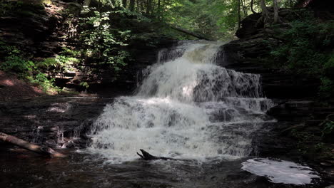 Las-Hermosas-Cascadas-De-Onondaga-En-El-Bosque