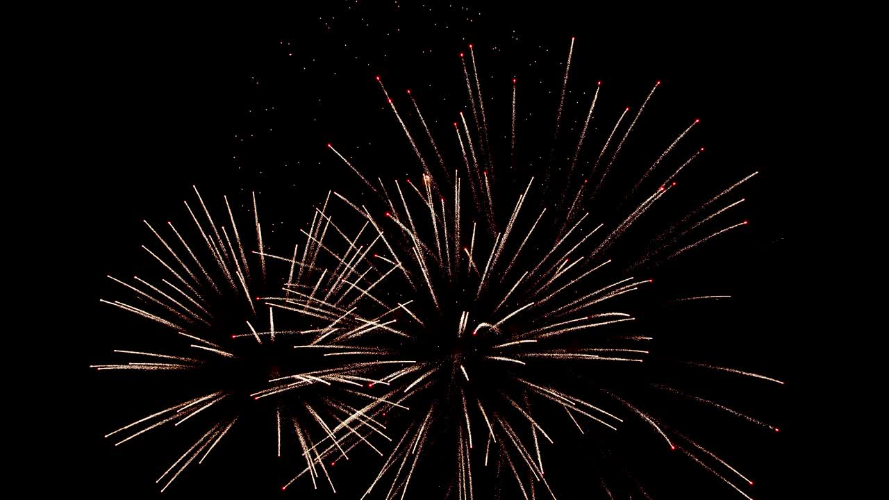 The real fireworks celebration colorful sky in the background black and the text New Year 2020.