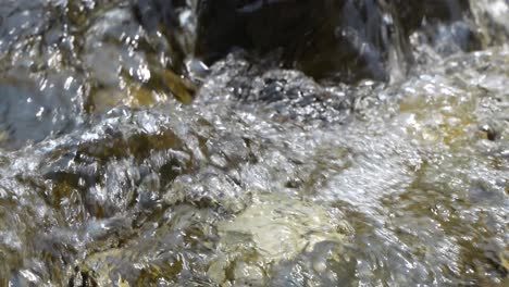 water is flowing through a mountain torrential river.