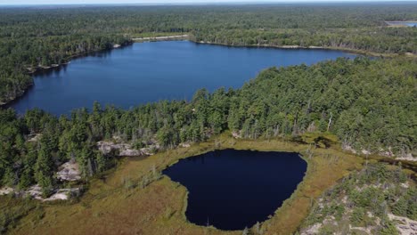 Aerial:-pristine-lakes-amidst-dense-forest,-Killarney-Park,-Canada