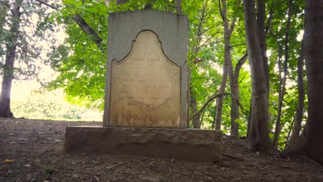 old gravestone in a wooded cemetery