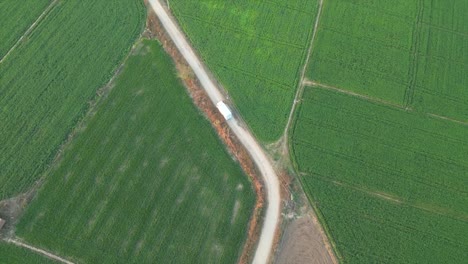 vehicle-moving-front-in-crop-fields-wide-top-view