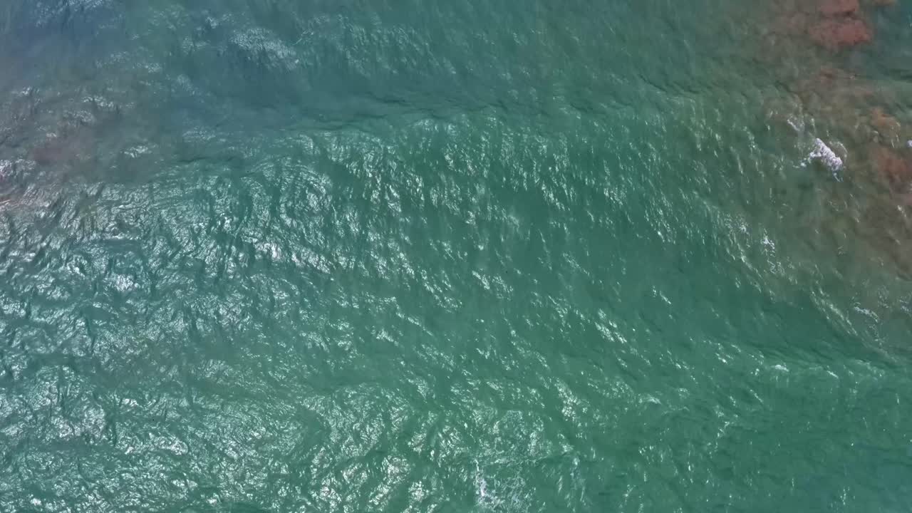 avión no tripulado aves vista desde arriba siguiendo a dos delfines salvajes nadando en aguas oceánicas turquesas tropicales cerca de la famosa playa de madeiro en pipa, brasil río grande do norte durante un cálido día soleado de verano