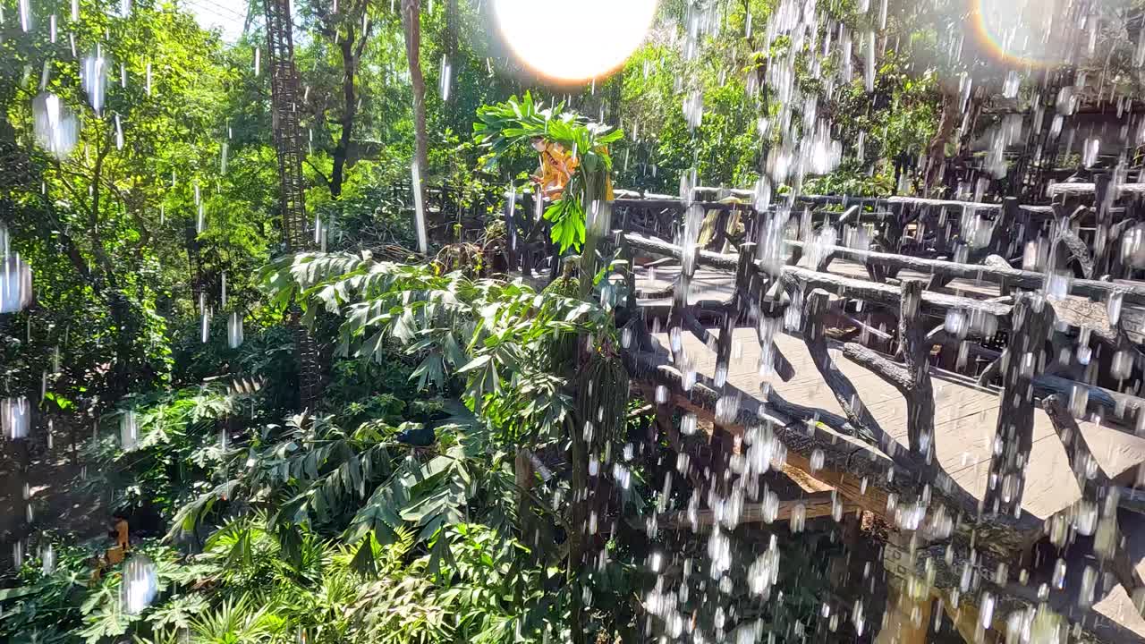 나무 다리 를 가로지르는 폭포