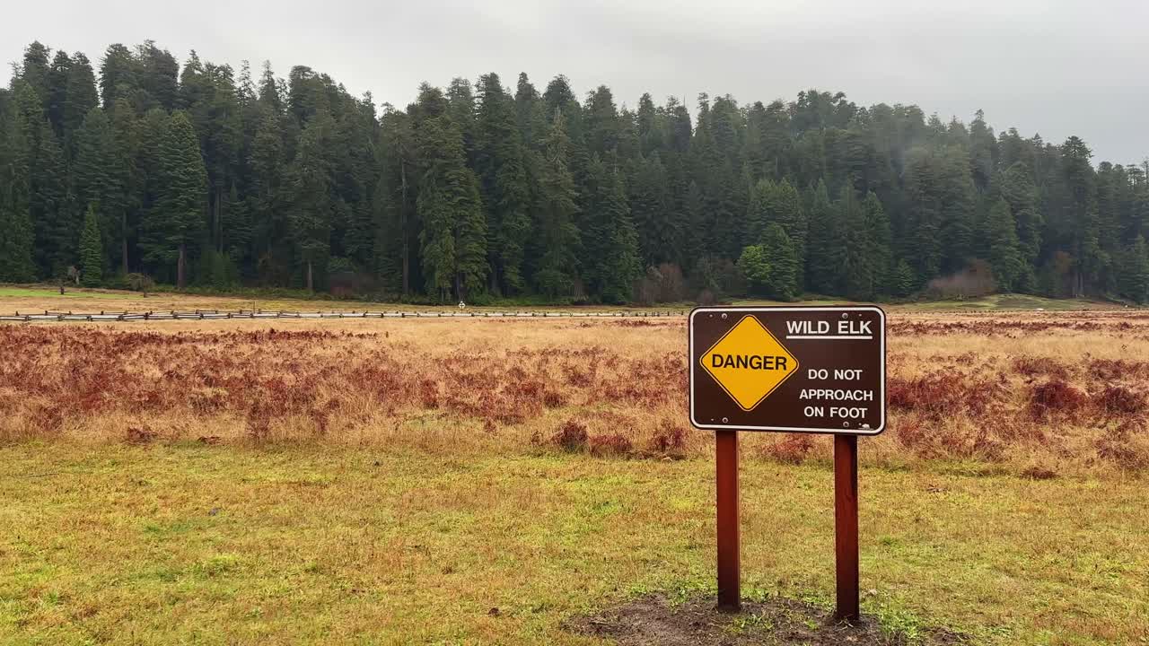 Handheld wide panning shot of a wild elk warning sign at Prairie Creek Redwood State Park in Northern California. 4K