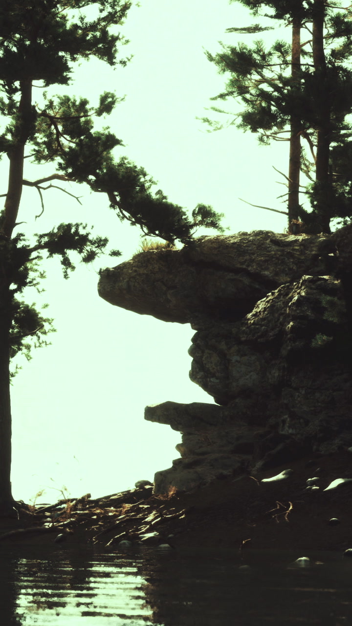 View of rocks and trees by a lake during sunny afternoon