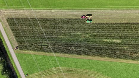 dron de alto ángulo de arriba hacia abajo de la cosechadora combinada con tractor y remolque trabajando en el campo en verano