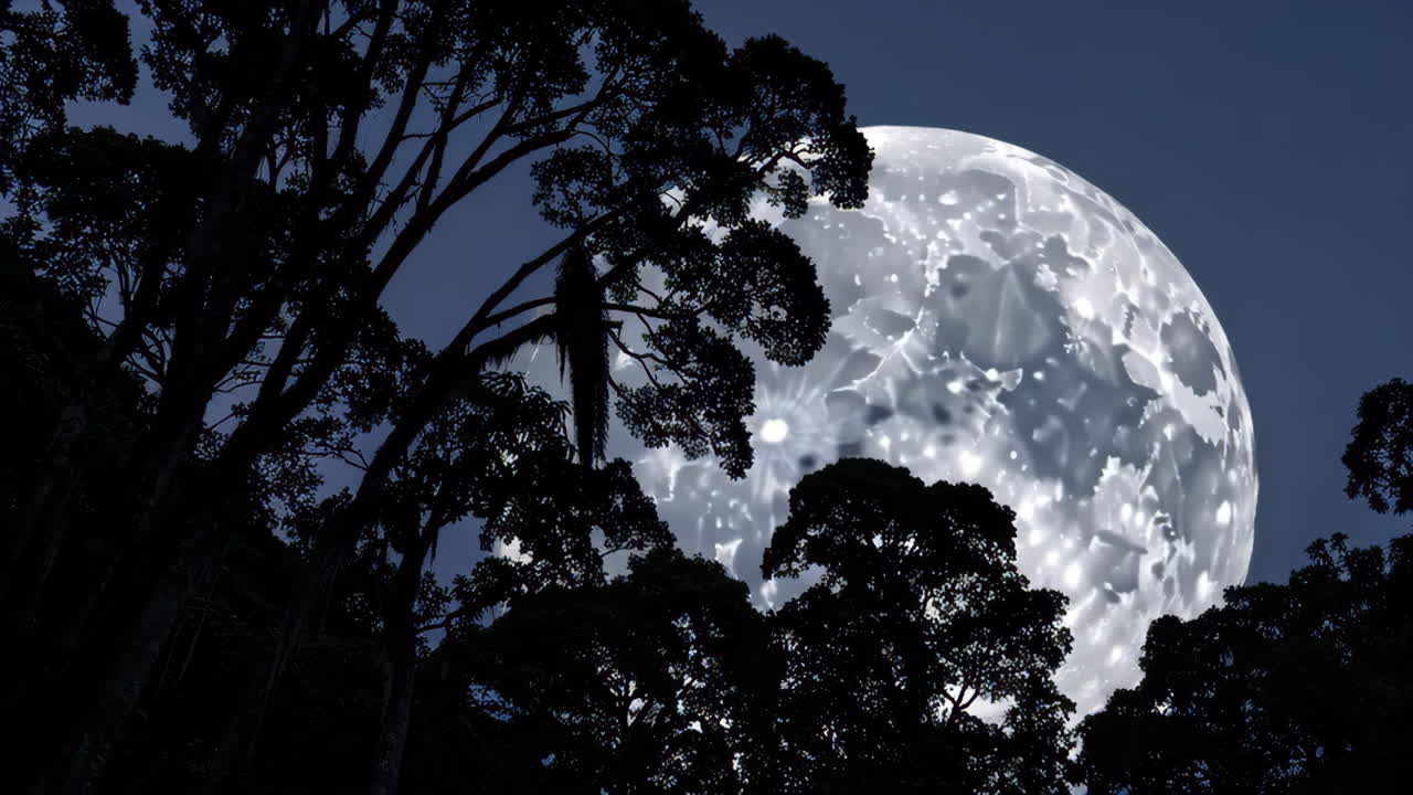 Vollmond über einem Regenwald