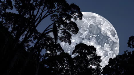 full moon over a rainforest