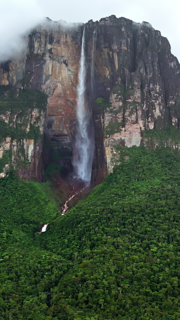 Pemandangan udara dari drone Air Terjun Angel yang mengalir menuruni tebing Auyan-tepui dengan awan yang melayang di pegunungan di Taman Nasional Canaima, Venezuela. Vertikal