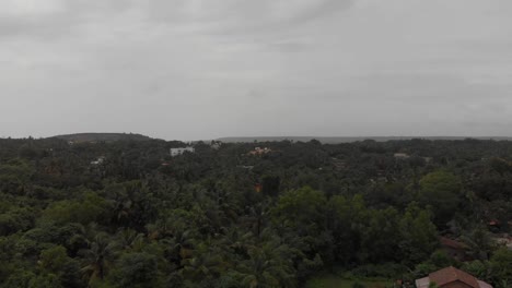 Bosque-Indio-Y-Campo-Verde.-Imágenes-Aéreas