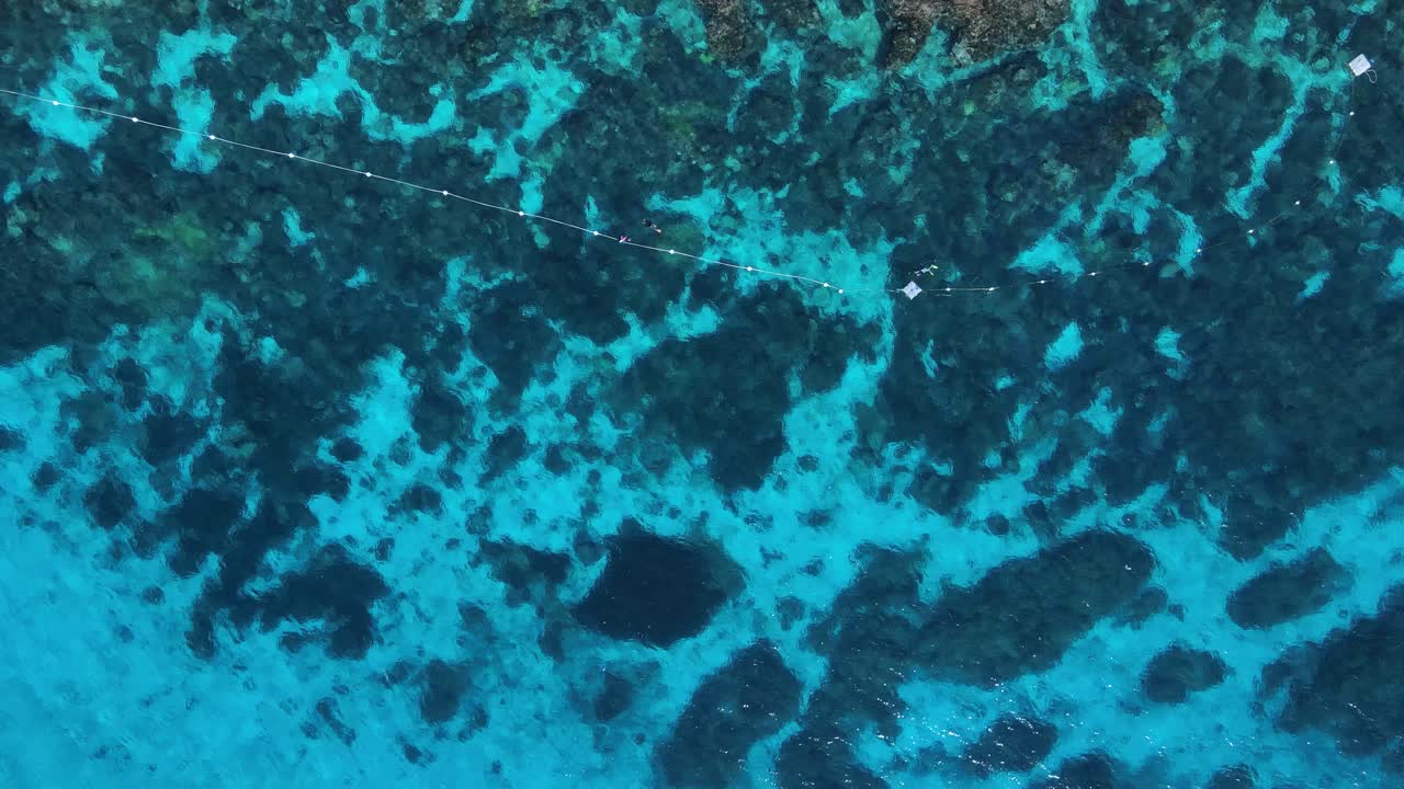 수영하는 사람들에게 안전을 제공하기 위해 열대 암초를 따라 설치된 상어 그물