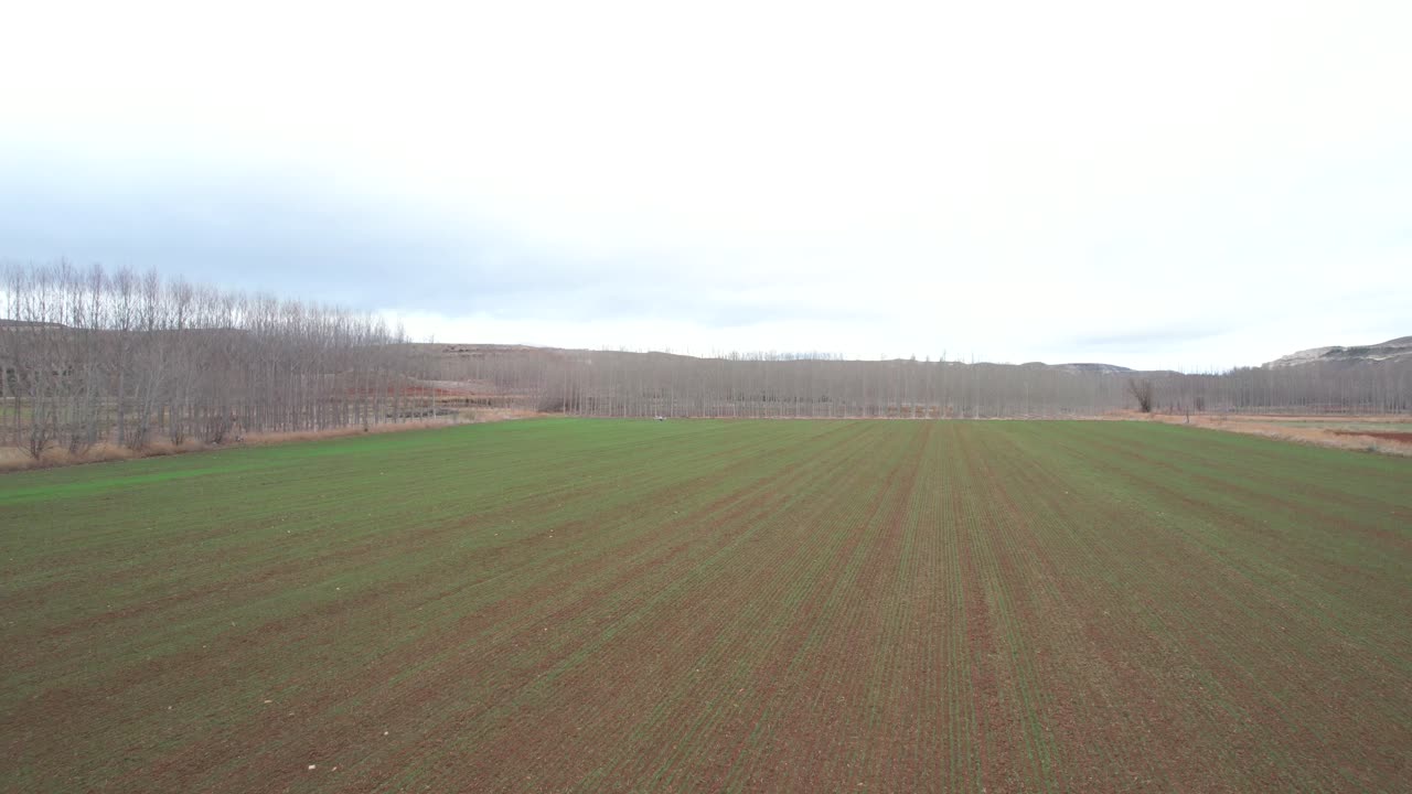 Luftaufnahme von zwei landwirtschaftlichen Drohnen, die sich über grünen und braunen Weizenfeldern während der Düngung kreuzen