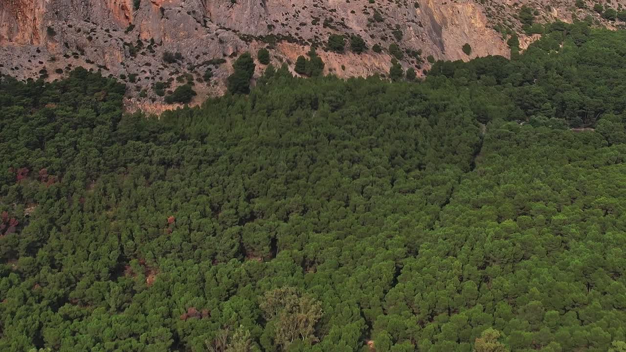 Esplorando paesaggi verdi a Malaga, Spagna, durante il giorno