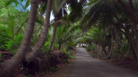 mahe seychelles pequeña carretera costera en coche hacia el extremo sur de la isla, la carretera es muy estrecha y llega a una hermosa pero áspera playa