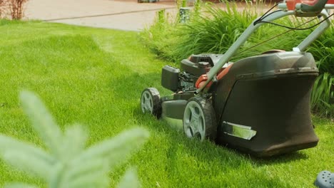 cortador de césped cortando el césped. actividad de jardinería. cortar césped con cortadora de céspera impulsada por gasolina en jardín soleado. jardinero trabajando con máquina de cortador en el jardín. cortadora de grano cortando césped verde