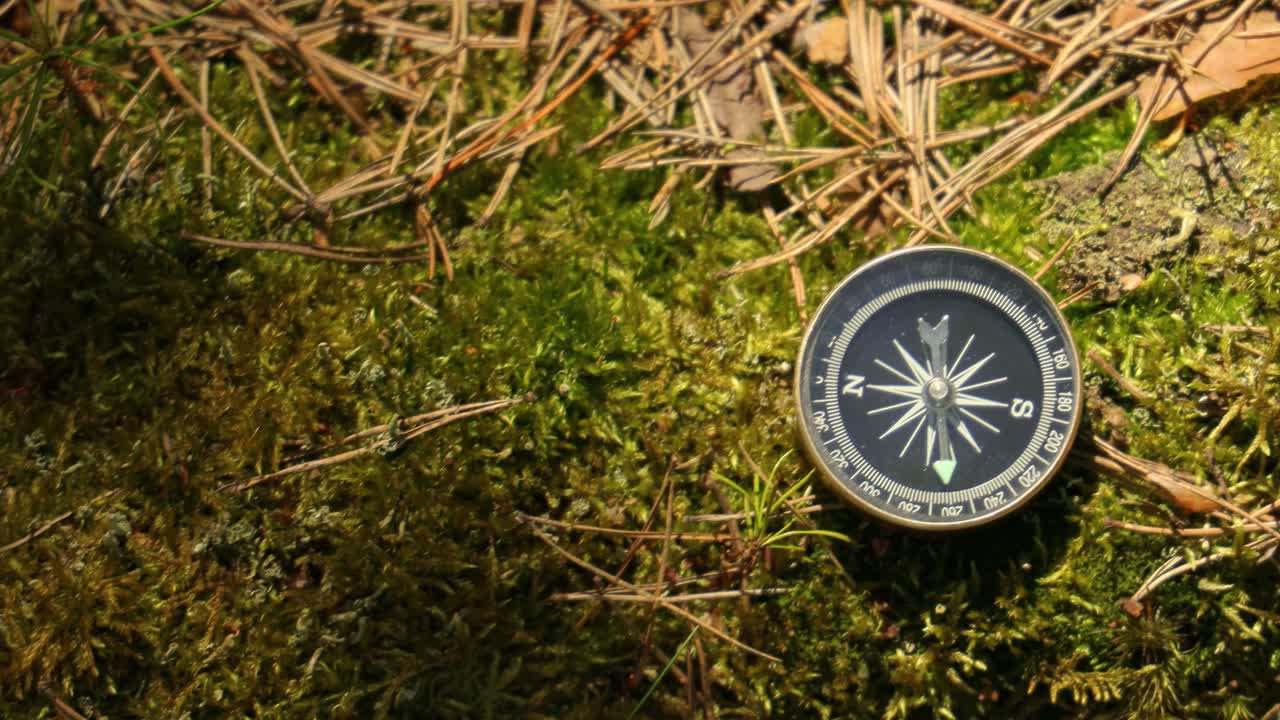 Traveller compass on the grass in the forest