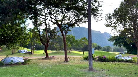 lush greenery and mountains at a golf course