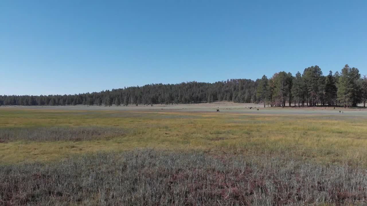 hermosas llanuras de hierba abierta en williams, arizona un par de horas al norte de phoenix