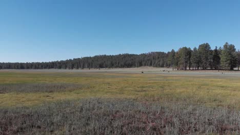 beautiful open grass plains in williams, arizona a couple hours north of phoenix