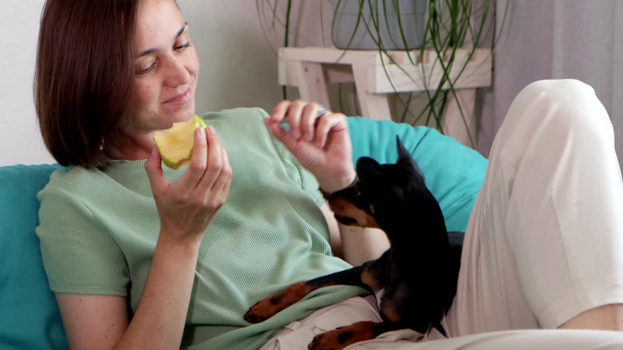 젊은 여자가 사과를 먹고 작은 개와 나누고 있습니다.