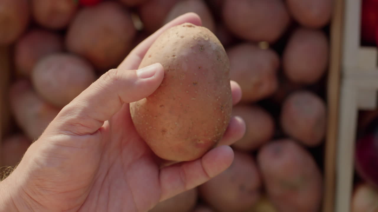 la mano de un cliente sostiene patatas sobre el mostrador en un mercado de agricultores. vista en primera persona