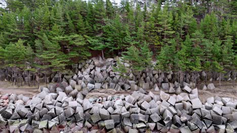 Breakwaters-guarding-the-beach,-backed-by-lush-forest-in-Kurzeme,-Latvia