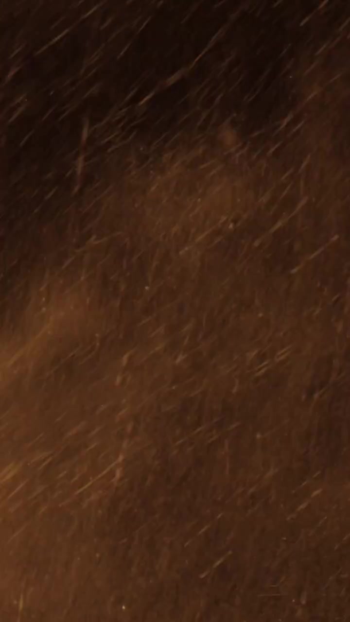 Natlig snestorm med kraftig vind