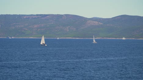 view of sailboats in adriatic sea with mountainous coast in the background