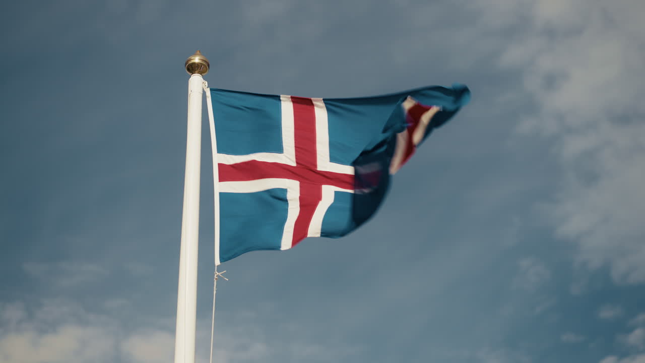 바람에 흔들리는 아이슬란드 발