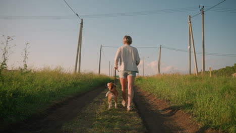 back view of woman walking with dog on dirt path lined with electric poles, holding leash while both stroll through grassy rural field under bright sunlight, distant buildings in background