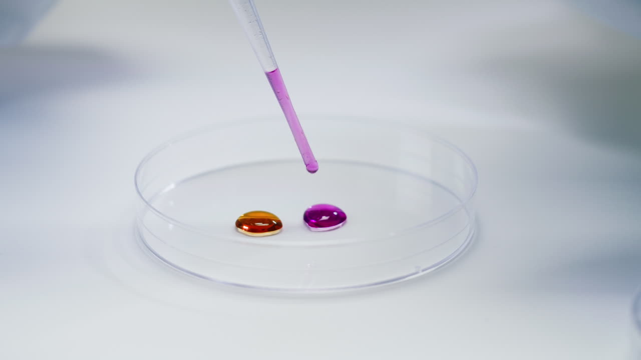 Close-up of Pipette Dispensing Purple Liquid into Petri Dish